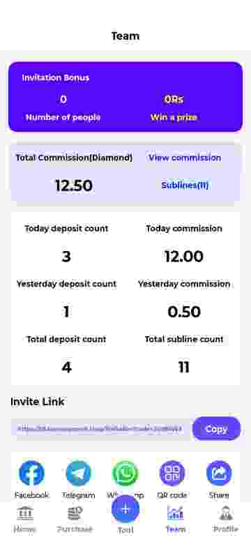 Netpay login screen – Netpay app password and OTP login process